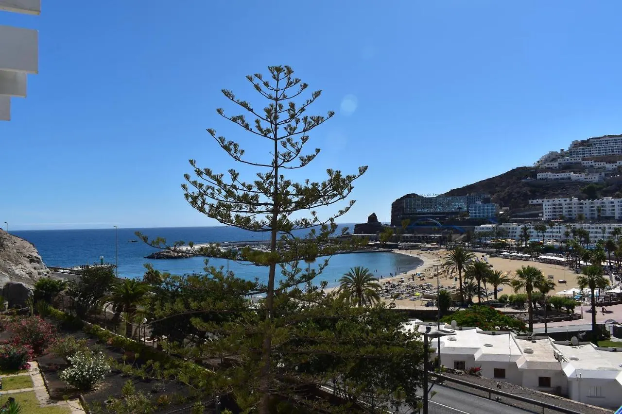 Apartamentos Mayaguez - Adults Only Puerto Rico  Spain